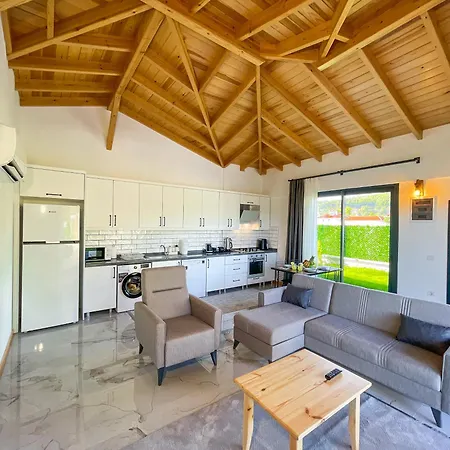 别墅 Villaderyadeniz